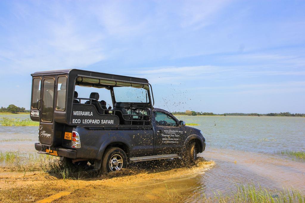 Wila Safari Hotel Тиссамахарама Экстерьер фото